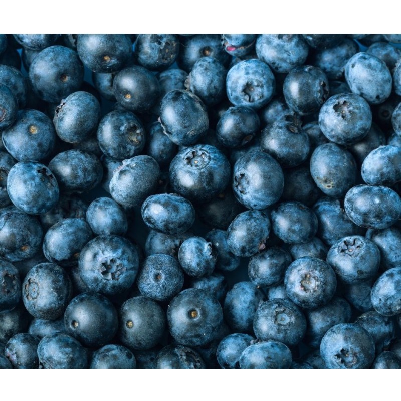 GNOJILO ZA BOROVNICE