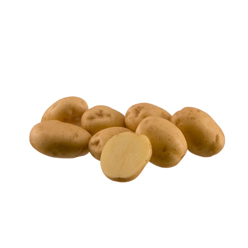 KROMPIR SEMENSKI RIVIERA A28/35MM 25KG