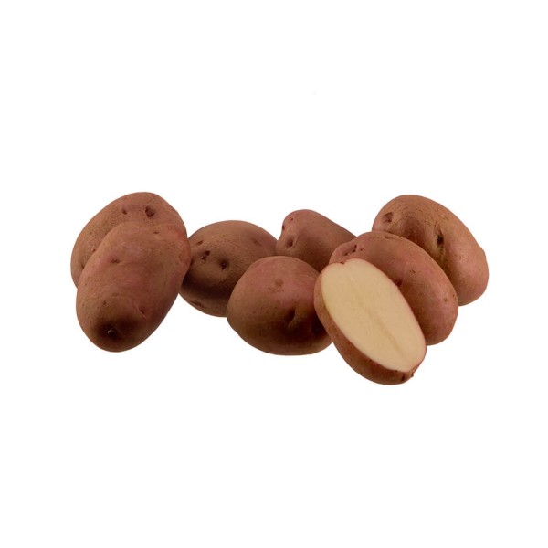 KROMPIR SEMENSKI RUDOLPH A 28/35 25kg