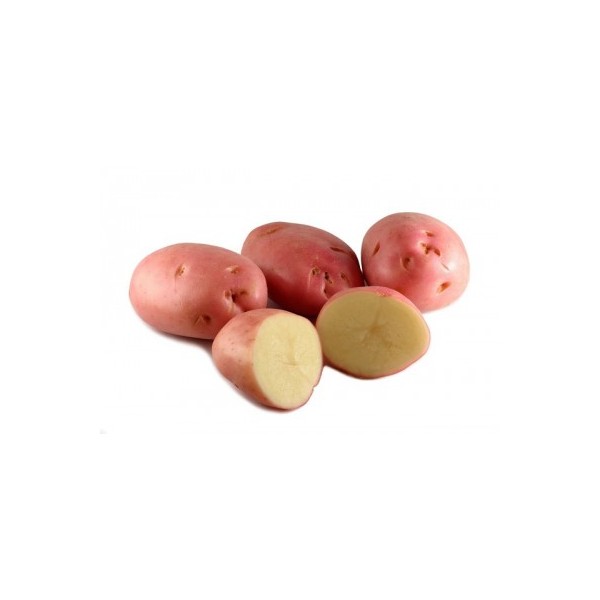 KROMPIR SEMENSKI  DESIREE E 28/35 10KG