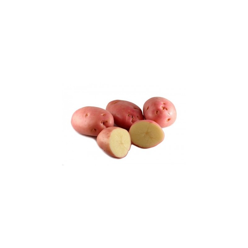 KROMPIR SEMENSKI  DESIREE E 28/35 10KG