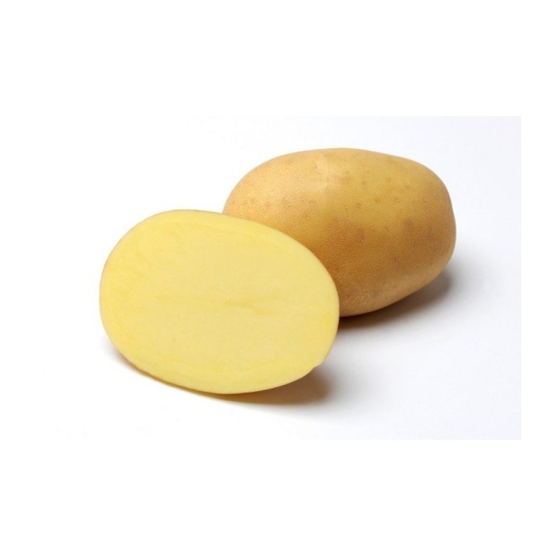 KROMPIR SEMENSKI JELLY A35/55-10KG